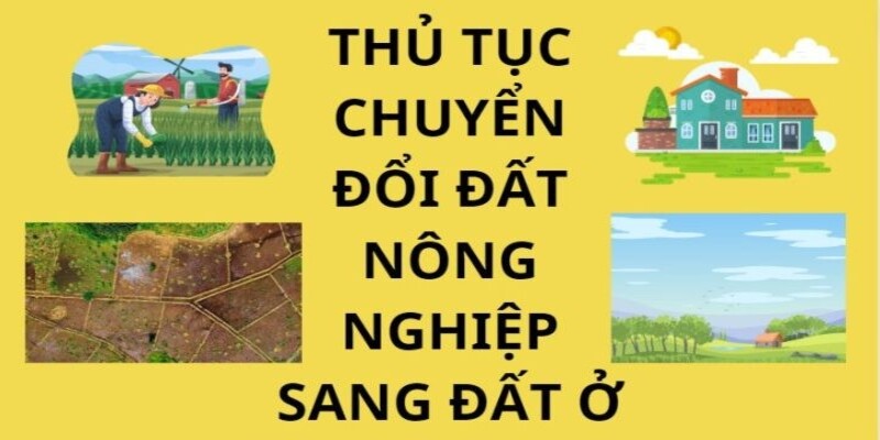 Hướng dẫn quy trình và thủ tục chuyển đổi đất nông nghiệp