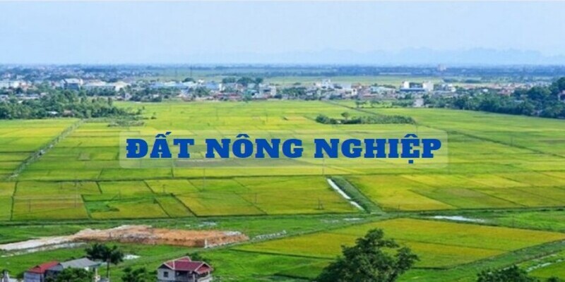 Đất Nông Nghiệp Là Gì, Cách Chuyển Đổi Sang Đất Ở Ra Sao?